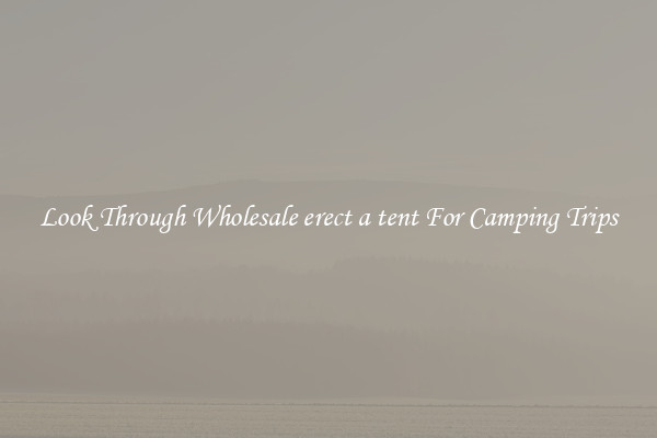 Look Through Wholesale erect a tent For Camping Trips