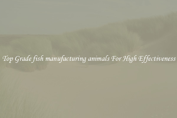 Top Grade fish manufacturing animals For High Effectiveness