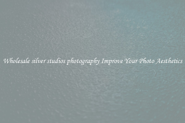 Wholesale silver studios photography Improve Your Photo Aesthetics