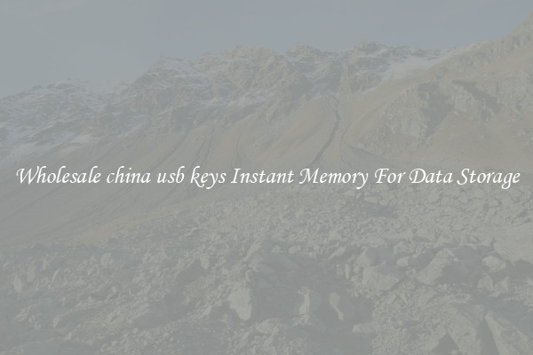 Wholesale china usb keys Instant Memory For Data Storage