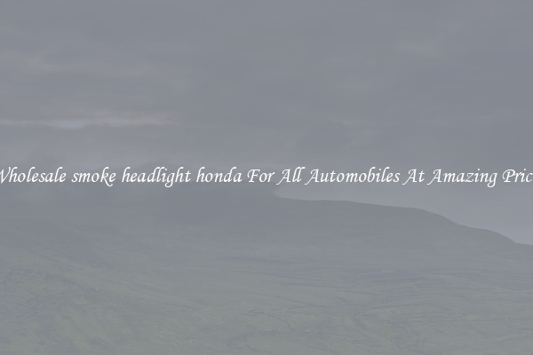 Wholesale smoke headlight honda For All Automobiles At Amazing Prices