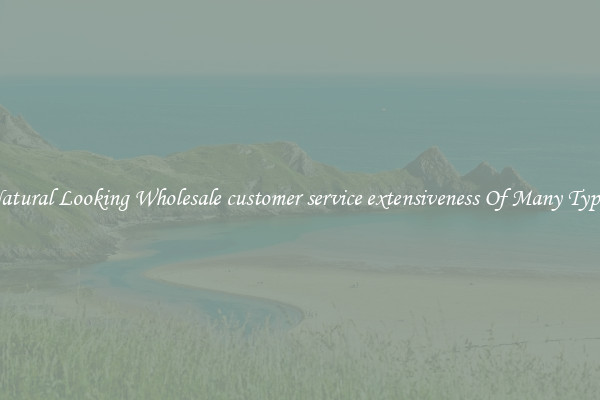 Natural Looking Wholesale customer service extensiveness Of Many Types