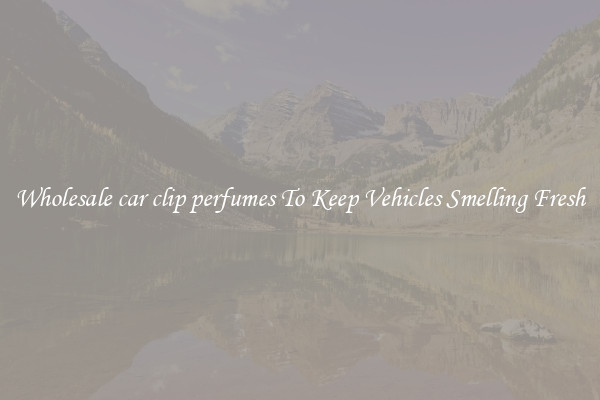 Wholesale car clip perfumes To Keep Vehicles Smelling Fresh