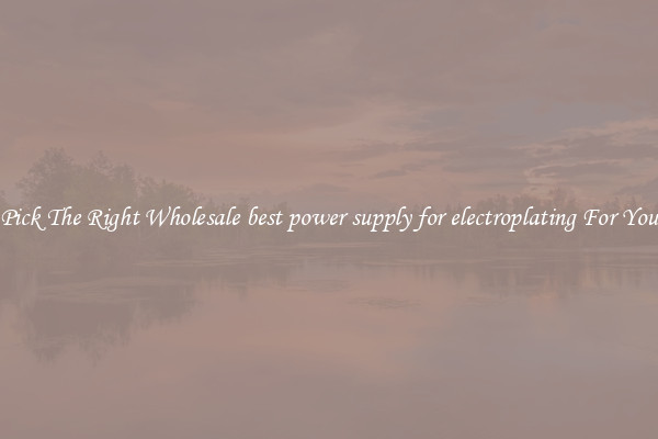 Pick The Right Wholesale best power supply for electroplating For You