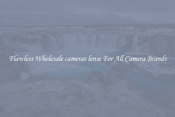 Flawless Wholesale cameras lense For All Camera Brands