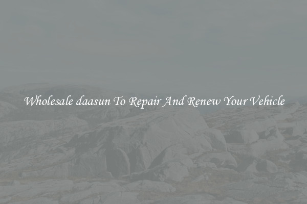 Wholesale daasun To Repair And Renew Your Vehicle