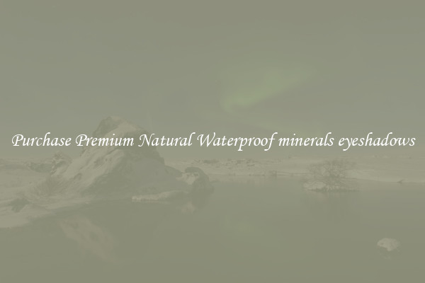 Purchase Premium Natural Waterproof minerals eyeshadows
