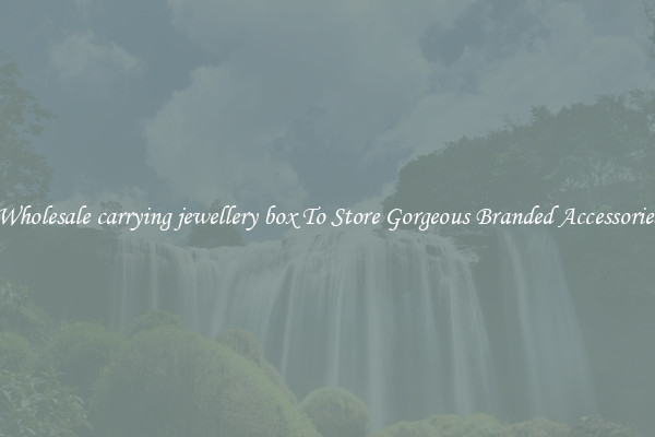 Wholesale carrying jewellery box To Store Gorgeous Branded Accessories