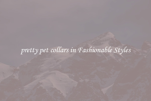 pretty pet collars in Fashionable Styles