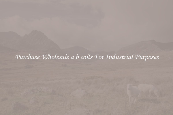 Purchase Wholesale a b coils For Industrial Purposes
