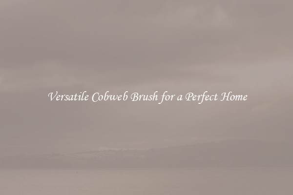 Versatile Cobweb Brush for a Perfect Home