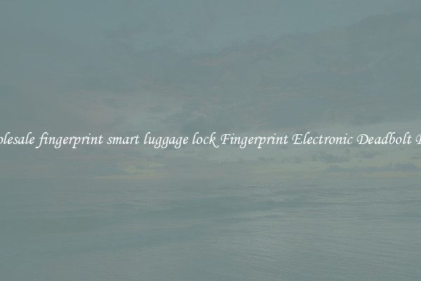 Wholesale fingerprint smart luggage lock Fingerprint Electronic Deadbolt Door 