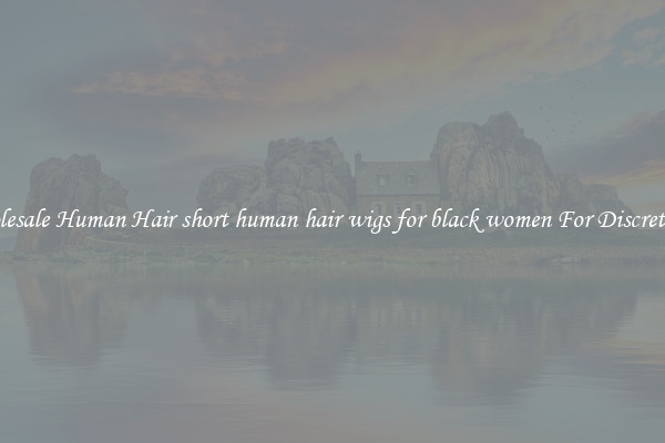 Wholesale Human Hair short human hair wigs for black women For Discreteness