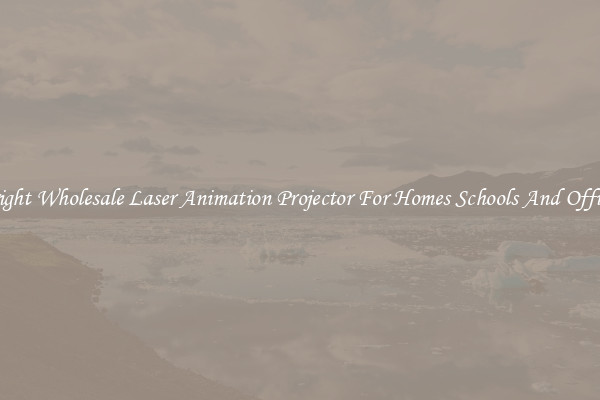 Bright Wholesale Laser Animation Projector For Homes Schools And Offices