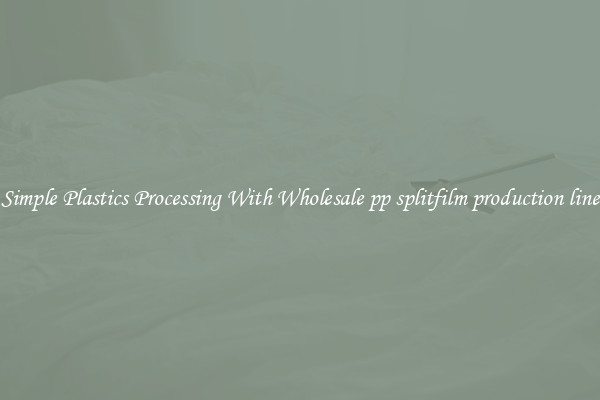 Simple Plastics Processing With Wholesale pp splitfilm production line