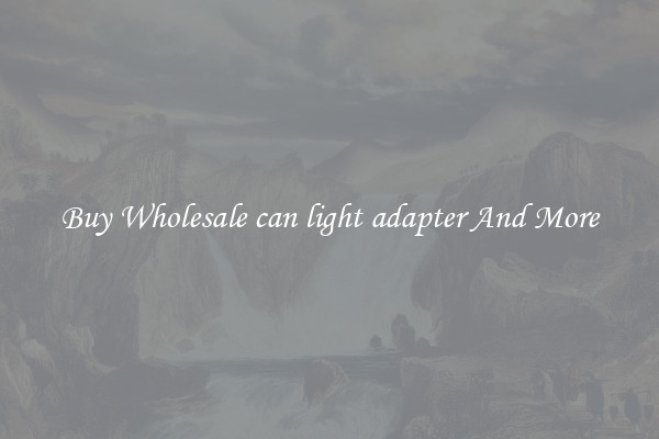 Buy Wholesale can light adapter And More