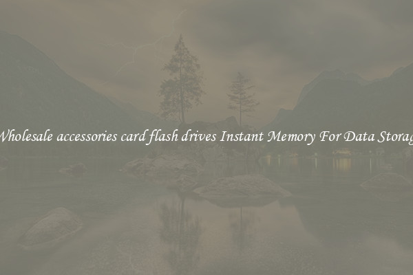 Wholesale accessories card flash drives Instant Memory For Data Storage