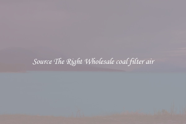 Source The Right Wholesale coal filter air